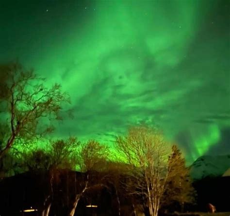 Sighting the Aurora Borealis in Iceland — Rosan Cruz * Urban Energy ...