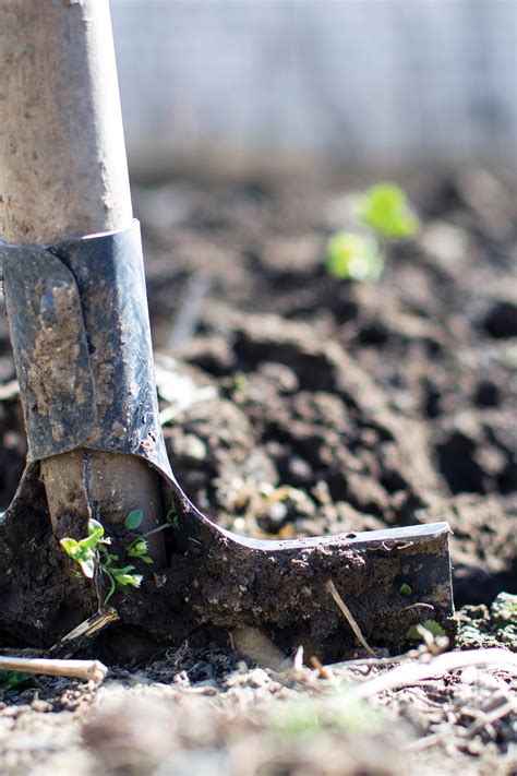 regional-soil-erosion-prevention-tips-card - American Lifestyle Magazine