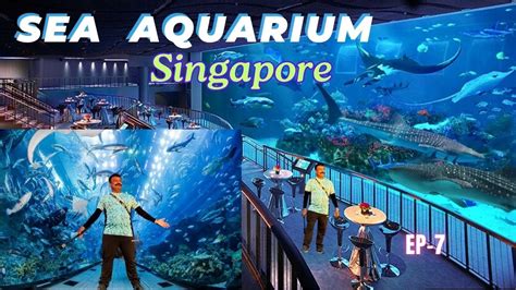 Best And One Of The Largest Sea Aquariums In The World🐬🦈 Resorts World