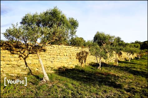 dernier mur de faïsse au dessus c est le Crès by BEYELER Roderic on YouPic