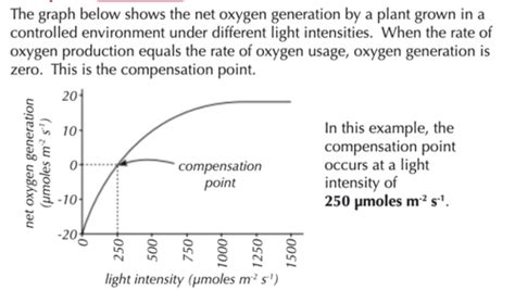 A Photosynthesis And Respiration Flashcards Quizlet