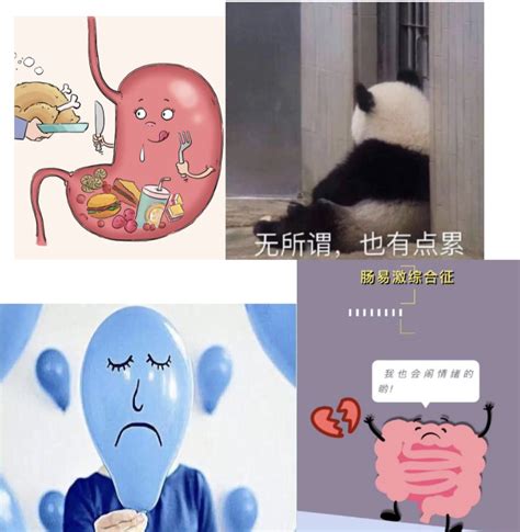 胃竟然是情绪器官 知乎