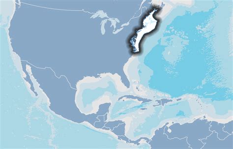 Northeast Region National Marine Ecosystem Status