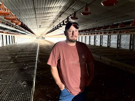 Chicken Farmers Sue Tyson After The Company Closed A Missouri Plant And Ended Their Contracts