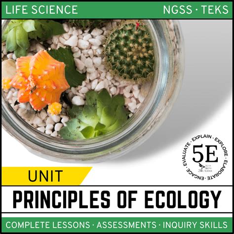 Science Education Teacher Resources Nitty Gritty Science Nitty