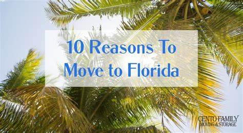 Reasons To Consider Moving To Florida Cento Moving