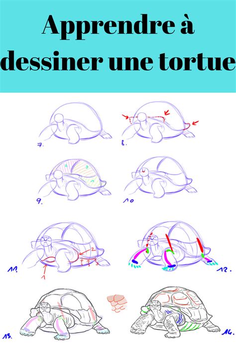 Réaliser Un Dessin De Tortue Dessin De Tortue Dessin Dessiner Tuto