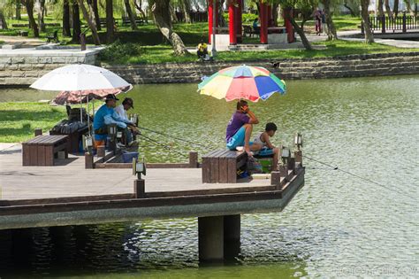 狂牛部落格 大湖公園