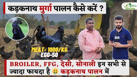 Kadaknath Chicken Farming In Bihar कड़कनाथ मुर्गा पालन कैसे करें