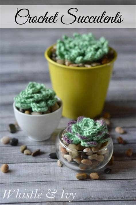 Crochet Succulents - Pretty Providence