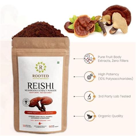 Rooted Active Natural Reishi Mushroom Ganoderma Extract Powder Uses