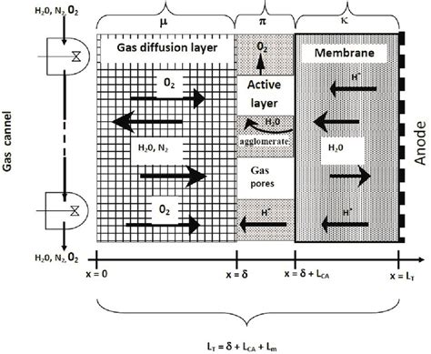 Schematic Description Of The Pemfc Half Cell Cathode 33 Download