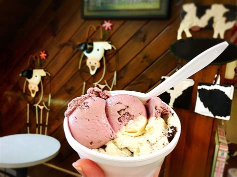 Udderly Delicious Ice Cream Shop Food Lover Girl