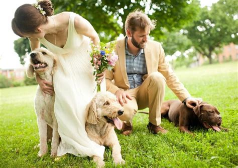 Boda Con Perros Cómo Organizarla Sin Que Resulte Un Desastre