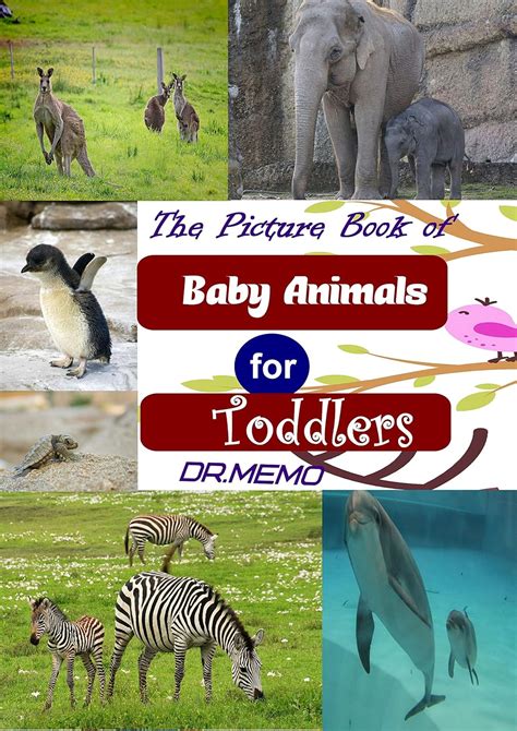 The Picture Book of Baby Animals for Toddlers (SUPER TODDLERS 3 ...