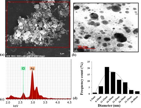 A Sem Image B Edx Spectrum C Tem Image D Size Distribution Graph Of A