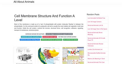 Cell Membrane Structure And Function A Level