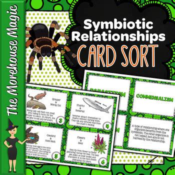 Symbiosis Card Sort Science Card Sort By The Morehouse Magic TPT