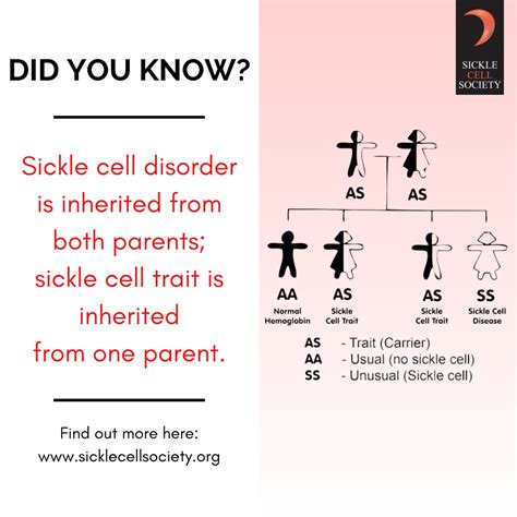 Sickle Cell Media Pack Sickle Cell Society