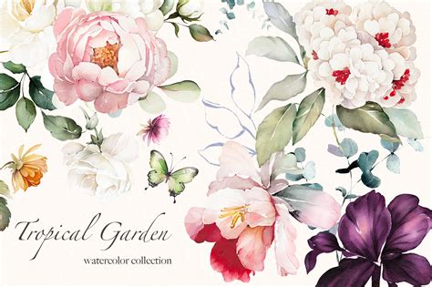 Watercolor tropical flowers | Decorative Illustrations ~ Creative Market