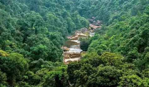 India State Of Forest Report ISFR 2023 Report GKToday