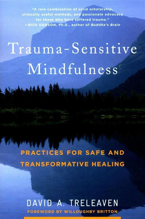 Buy Trauma Sensitive Mindfulness By David A Treleaven With Free