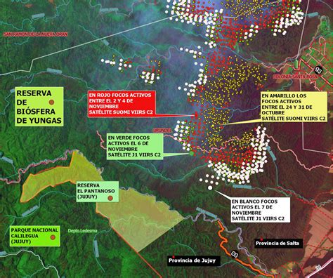 En Tres Meses El Fuego Consumió 50 Mil Hectáreas De Bosque Nativo En