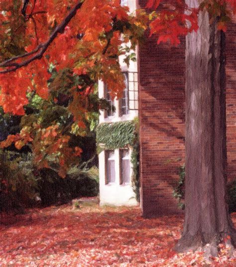 Fall Michigan State University Photograph By Adam Hirsch Fine Art