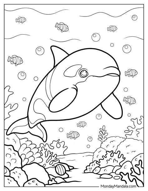 20 killer whale coloring pages free pdf printables – Artofit