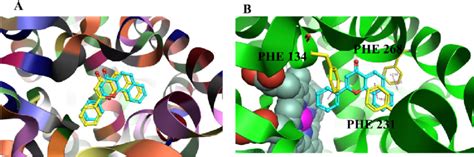 A The Conformation Of The Docking Ligand And Extracted Original