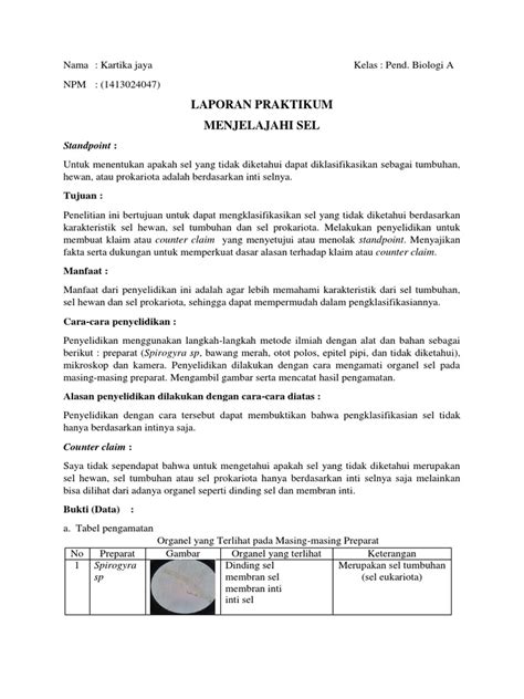 Contoh Hasil Laporan Praktikum - IMAGESEE