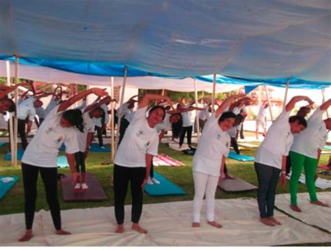 World Yoga Day Commemorated In Gambia The Point