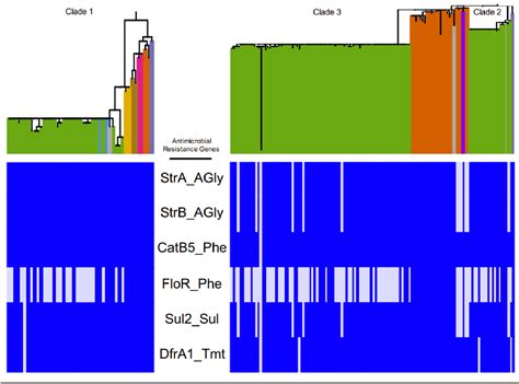 Pdf Phylogenetic And Antimicrobial Drug Resistance Analysis Of Vibrio Cholerae O1 Isolates