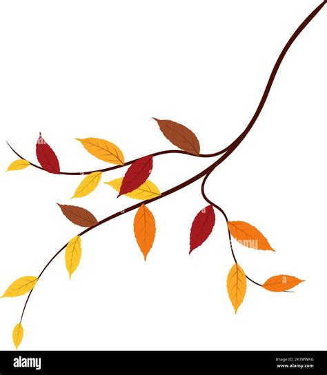 Autumn Ash Tree Leaves Branch Vector Illustration Stock Vector Image And Art Alamy