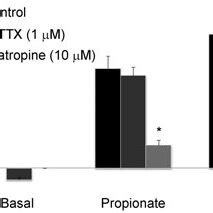 Effects Of Tetrodotoxin Ttx M And Atropine M On Basal I Sc