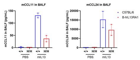 B Hil13ra1 Micebiocytogen Pharmaceuticals Beijing Co Ltd