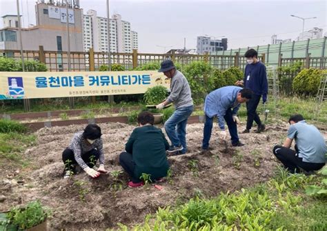 수원시 장안구 율천동 행정복지센터 옥상에 율천마을 커뮤니티 가든 조성