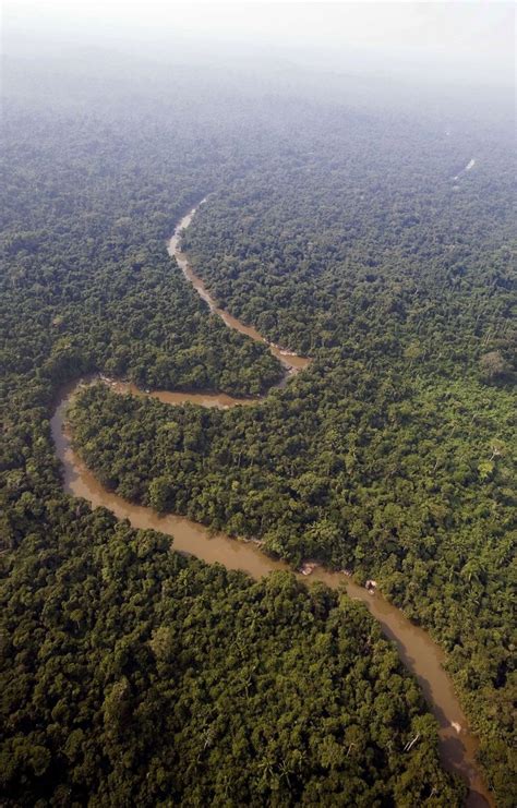 Controle do desmatamento na Amazônia bate recorde histórico