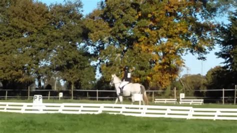 Marie Audo Et Pipper De Kerbily Osec Equitation Youtube