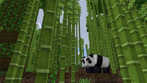 How To Tame Pandas In Minecraft My Otaku World