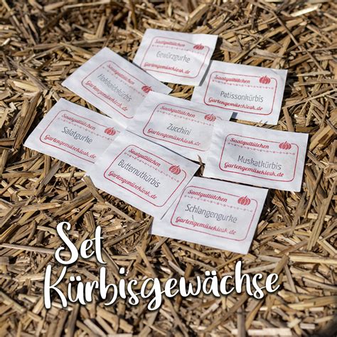 Alle Bio Kürbisgewächse im Set Selbstversorgung im Gartengemüsekiosk