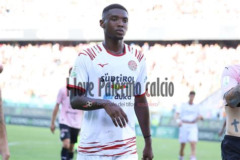 Palermo Archivi Pagina Di Ilovepalermocalcio