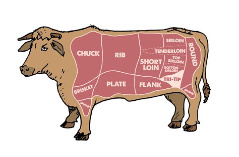 Brisket Slicing Diagram Brisket Simplymeatsmoking