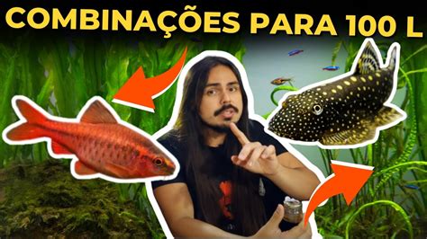 COMBINAÇÕES DE FAUNA PARA AQUÁRIO DE 100 LITROS Mr Betta YouTube