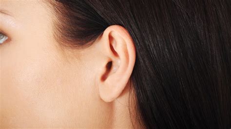 Why do we have earlobes? They make no evolutionary sense. | Popular Science