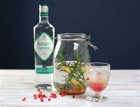 Rosemary And Pomegranate Infused Gin Recipe Abel And Cole Flavored