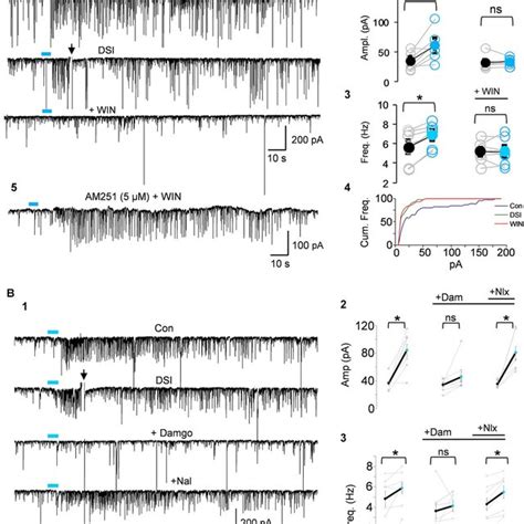 Schematic Summary Diagram Of The Endocannabinoid System A Presynaptic