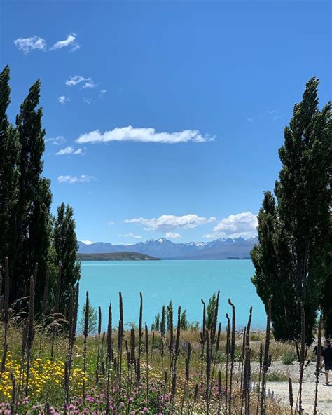 Monte Verde Eleito Um Dos Lugares Mais Acolhedores Do Mundo Casa