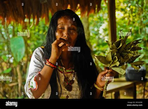 Amazon Rainforest Shaman & Healing Ceremony, Peru Stock Photo - Alamy