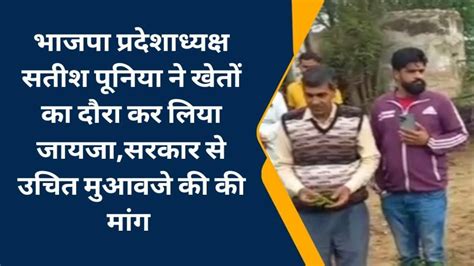 जयपुर भाजपा प्रदेशाध्यक्ष ने बारिश से फसल में हुए नुकसान का लिया जायजा मुआवजे की मांग Video